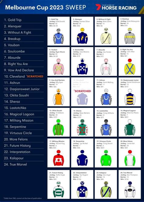 Melbourne Cup 2023 sweep template: All the runners, how to .